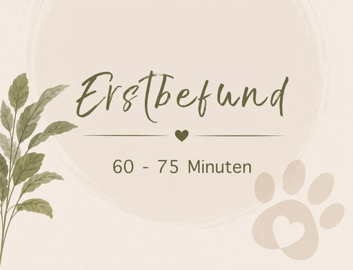 Erstbefund 60 - 75 Minuten CHF 130.00