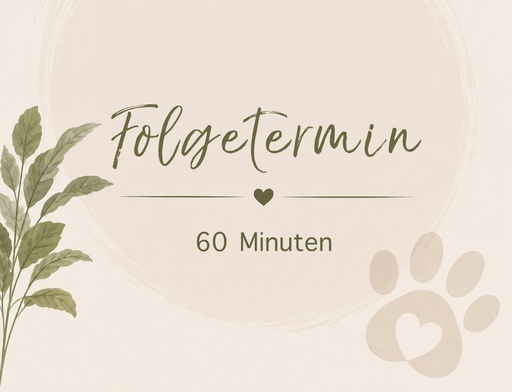 Folgetermin 60 Minuten CHF 120.00